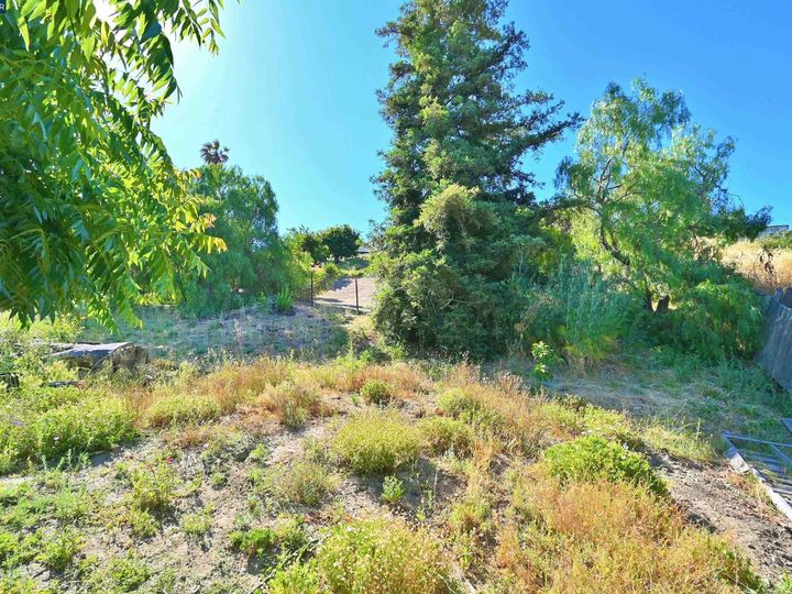 1016 Sandpoint Dr, Rodeo, CA | Rodeo Hills. Photo 34 of 44
