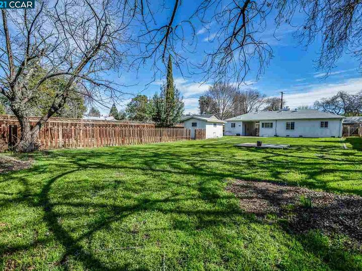 1381 Rosemary Ln, Concord, CA | Tree Haven. Photo 33 of 35