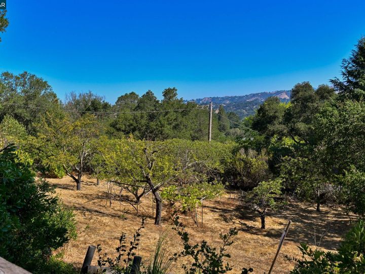157 Montair Dr, Danville, CA | Montair. Photo 29 of 41