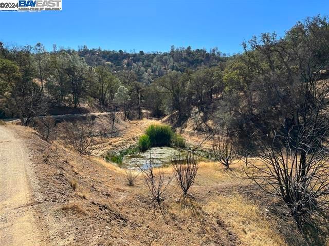 17488 W Corral Hollow Rd Tracy CA. Photo 13 of 13