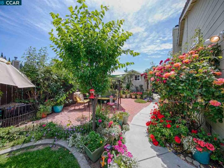 225 Milford Ct, Vacaville, CA | Brown Valley. Photo 15 of 15