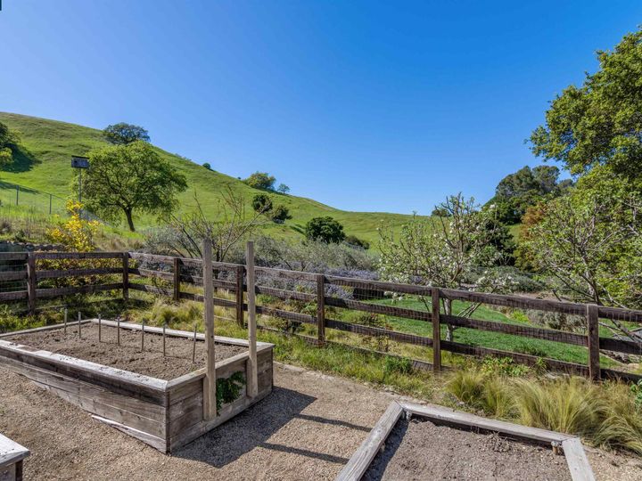 247 Tiburon Ct, Walnut Creek, CA | Secluded Valley. Photo 51 of 60