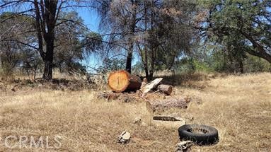 285 Colina Way Oroville CA. Photo 2 of 4