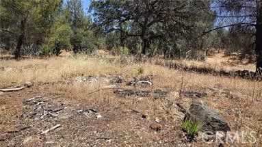 285 Colina Way Oroville CA. Photo 3 of 4
