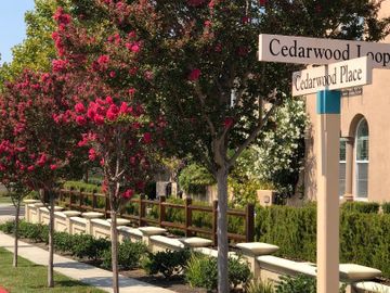 1001 Cedarwood Loop, San Ramon, CA, 94582 Townhouse. Photo 5 of 40