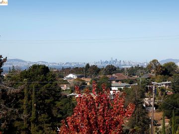 220 Elysian Fields Dr, Oakland, CA | Sequoyah Hghlds. Photo 4 of 40