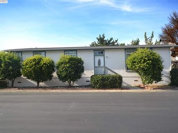 3263 Vineyard Ave, Pleasanton, CA | Vineyard Estates. Photo 4 of 40