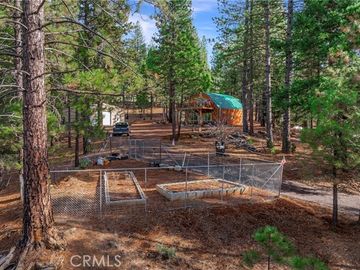 565 Red Knoll Rd, Greenville, CA | . Photo 6 of 31