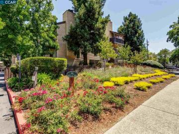 99 Cleaveland Rd unit #29, Pleasant Heights, CA